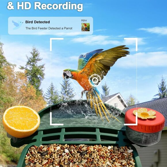 2-in-1 Smart Wild Bird Feeder & Bath with 4K HD Camera and AI Identification - Picture 8 of 8